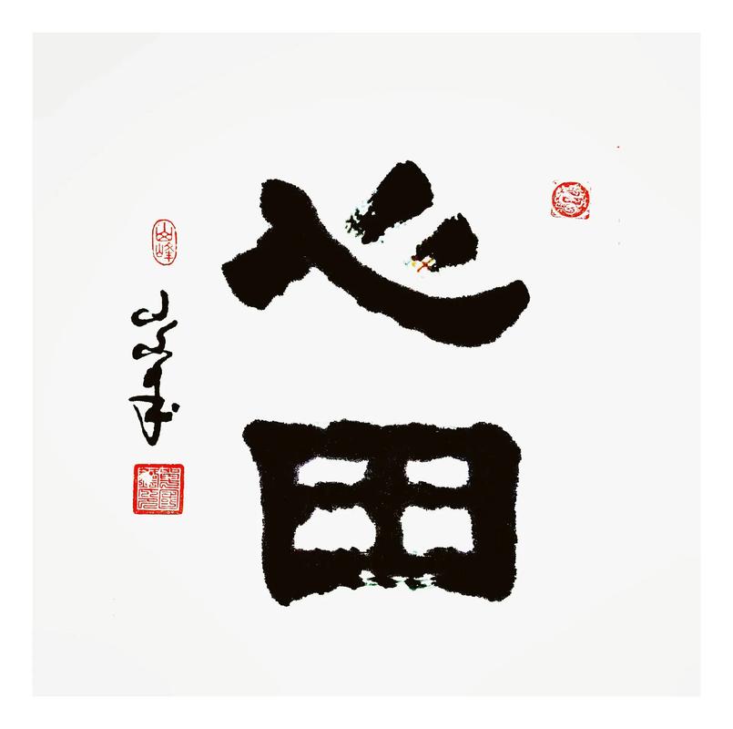 心田游戏截图