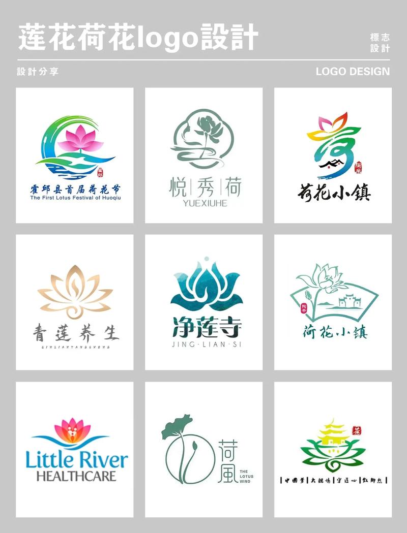 荷花平台官网版v1.2