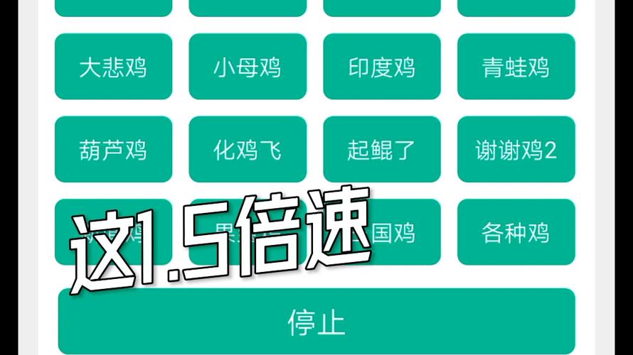 鸡音盒4.0