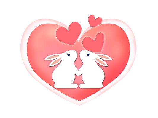 七夕兔画质比例助手邀请版游戏截图