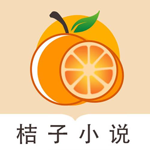 桔子小说纯净版游戏截图
