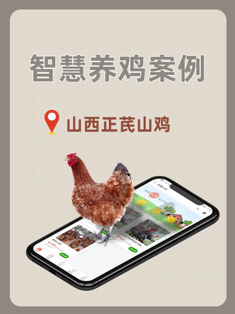 智慧养鸡红包版游戏截图