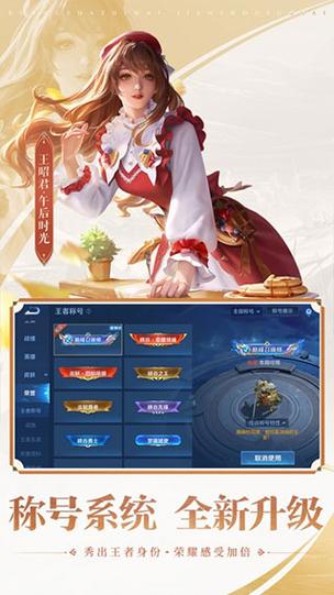 王者单机全皮肤下载纯净版