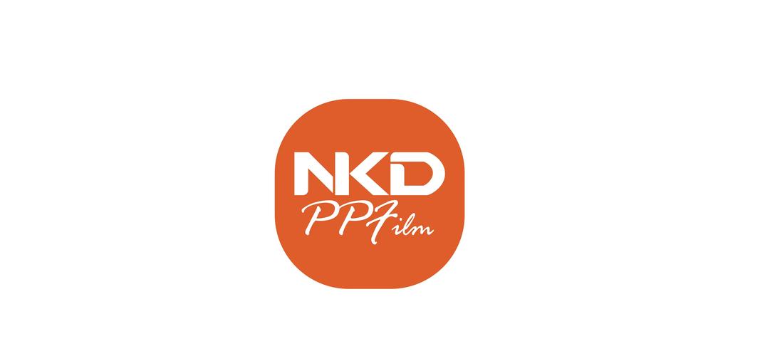 pupgt00l官方版下载正版中文最新版游戏截图