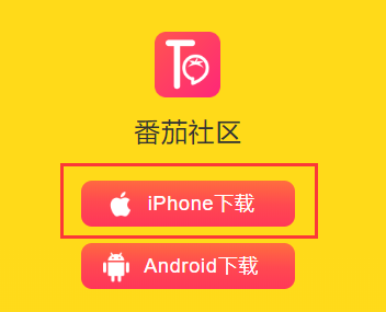 番茄区社最新正版游戏截图