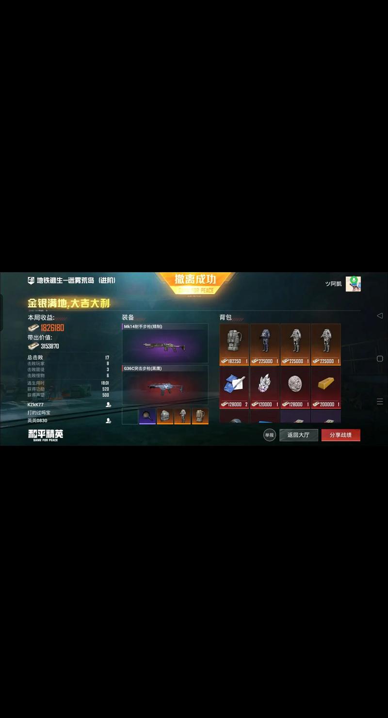 和平精英直装冰块黑色老版离线版游戏截图