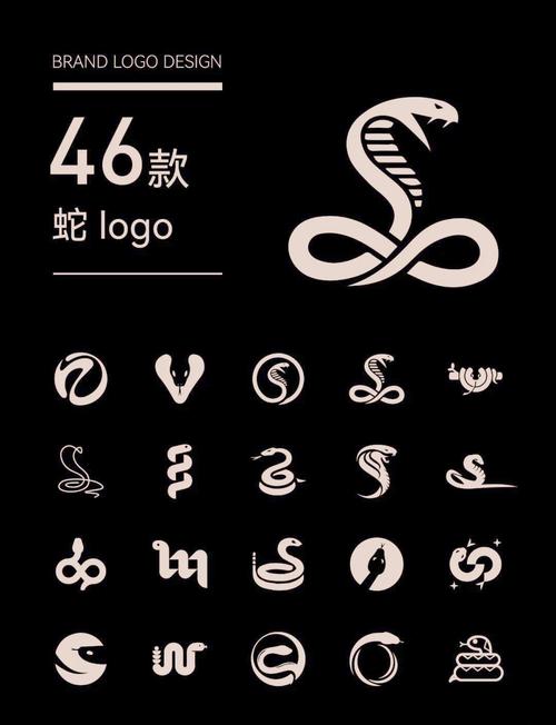 毒蛇加速器官方页面无弹窗游戏截图