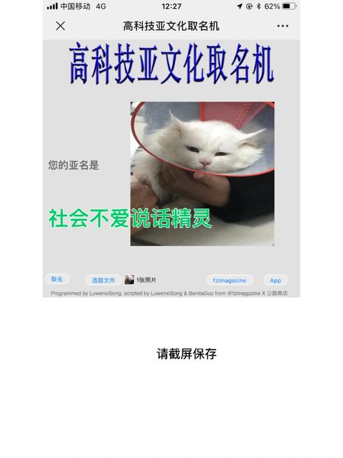 高科技亚文化取名机链接