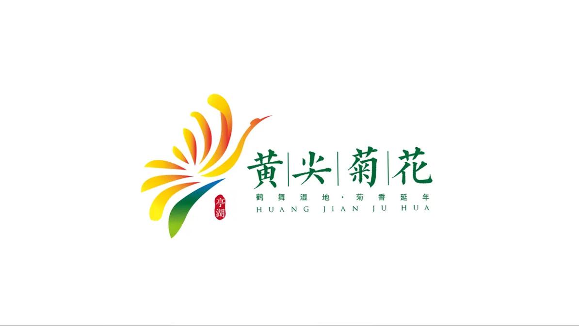 菊花直播官方版
