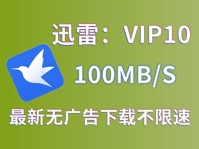 迅雷加速器永久vip版单机版游戏截图