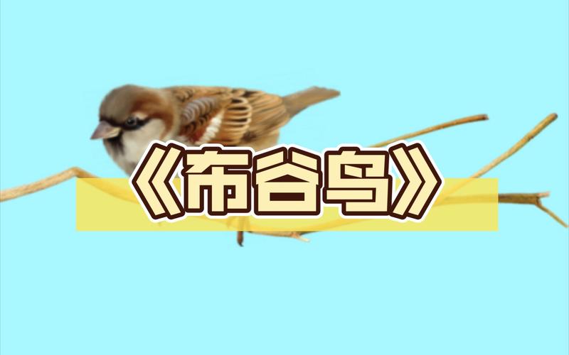 布谷鸟漫画去广告破解版升级app游戏截图