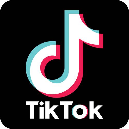 tiktok18国际版加速永久游戏截图