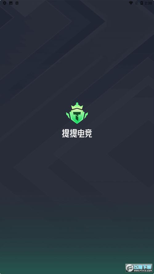 提提电竞完美版