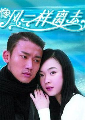 像风一样离去 电视剧免广告版