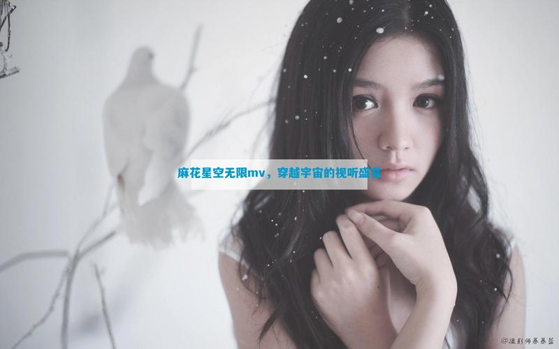 麻花星空mV视频纯净版不闪退版游戏截图