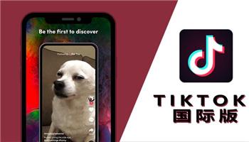 tiktok修改版安卓破解版永久VIP电视版游戏截图