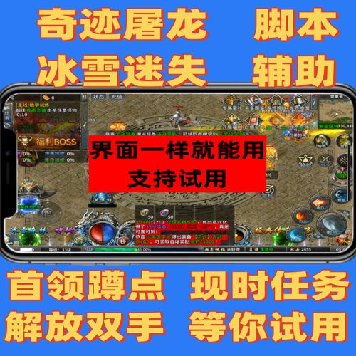 冰雪辅助脚本设置游戏截图