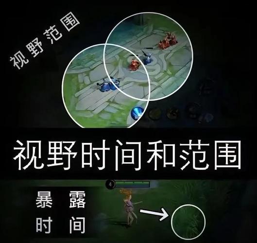 王者荣耀辅助视野价值怎么刷