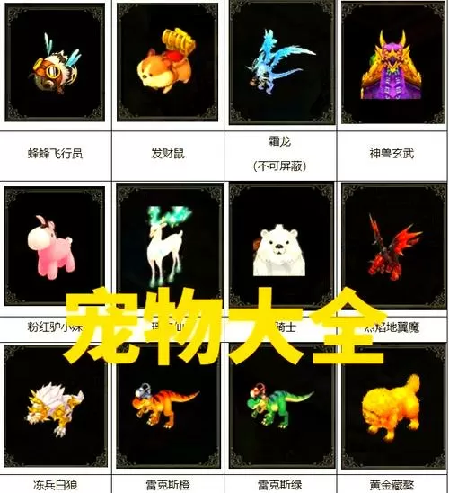 自由幻想宠物升级