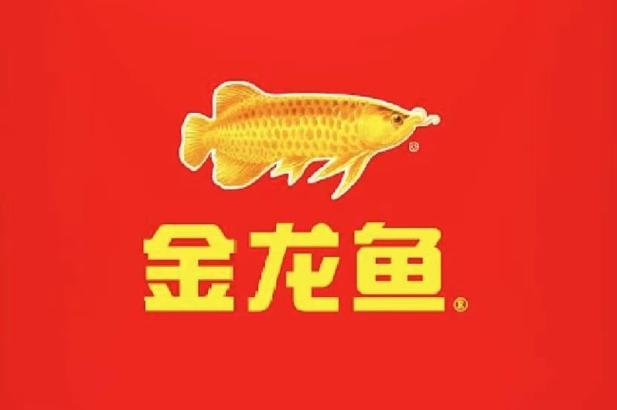 金龙捕鱼1.1.6