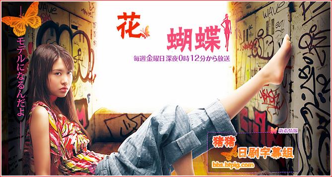 花蝴蝶7免费高清电视剧缩略图