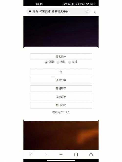 匿名聊天网页版春节版游戏截图
