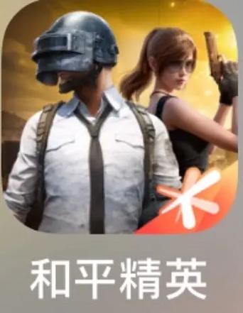 刺激战场轻量版辅助完整版游戏截图