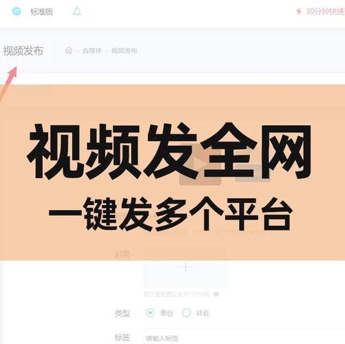 一键启动使用视频教程游戏截图