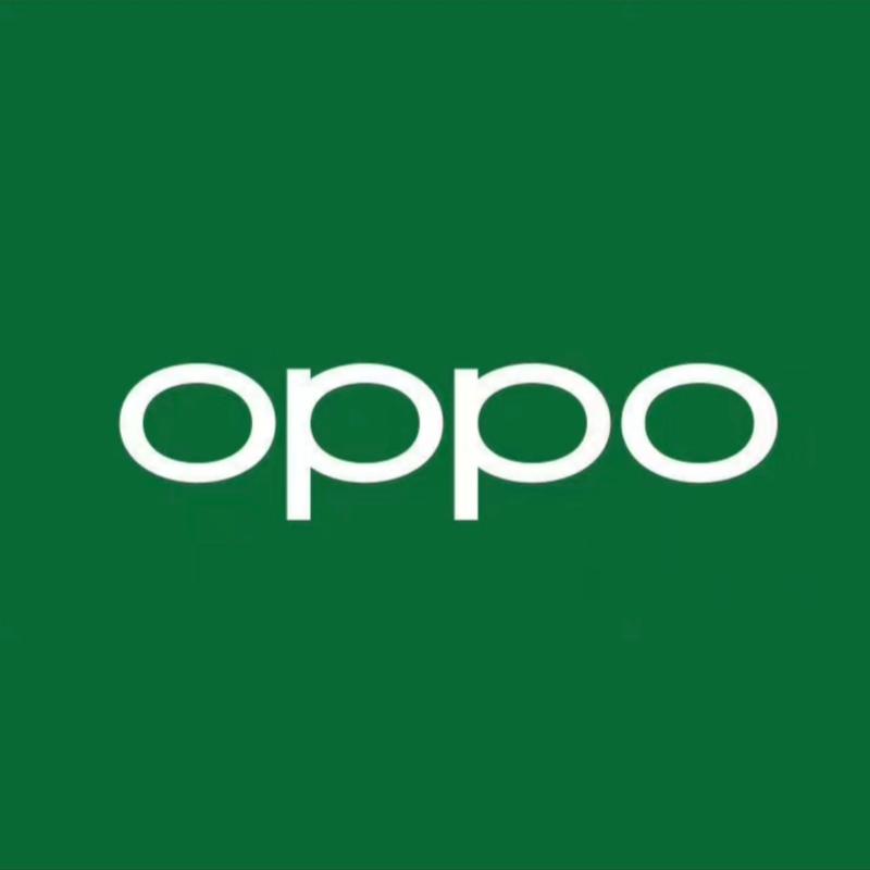 oppo乐园游戏截图