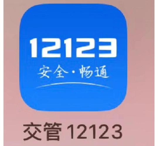 交管12123模拟器游戏截图