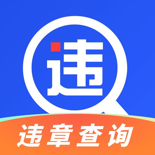 全国违章查询手机版纪念版游戏截图