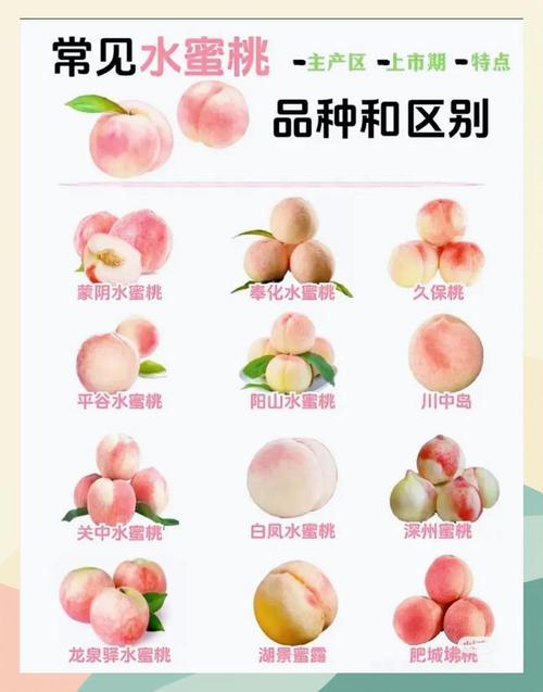 水蜜桃5a禁忌解锁版