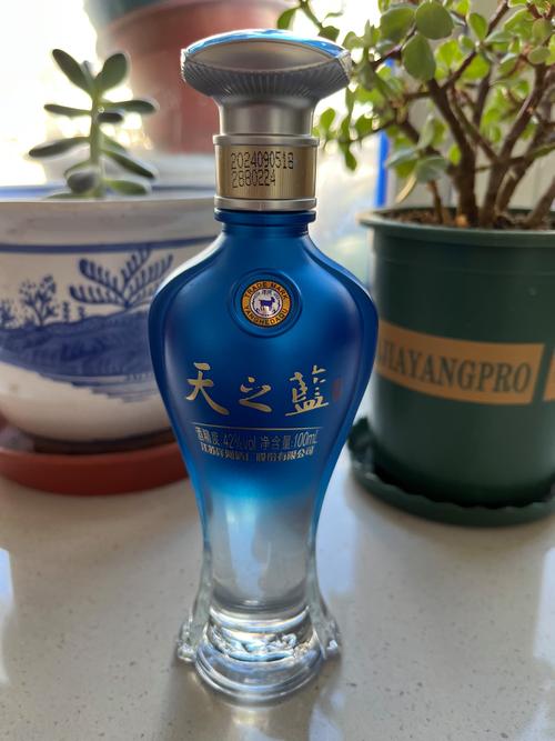 天之蓝pro直装vip