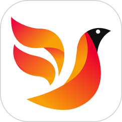 火焰鸟免费挂app