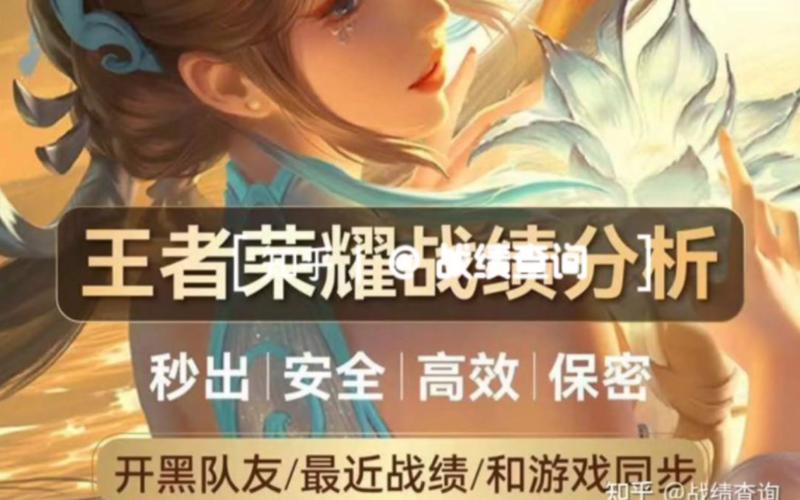 王者荣耀隐藏战绩查询软件下载抢先版游戏截图