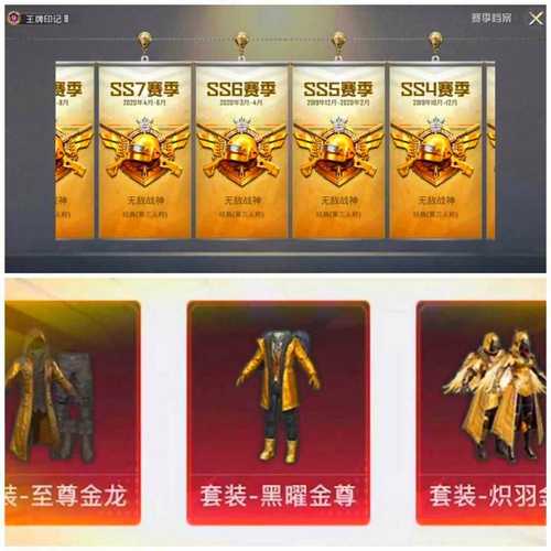 至尊金龙风衣美化包无广告安装游戏截图