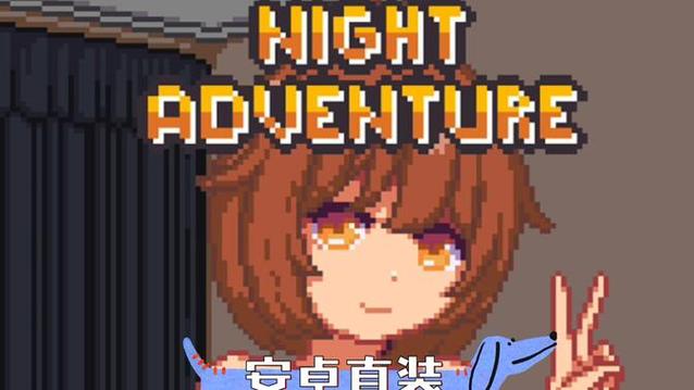 NightAdventure破解版免谷歌汉化版游戏截图