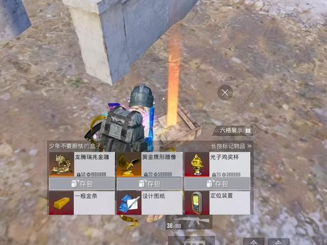 pubg轻体北辞直装光环加速版无限次数版游戏截图