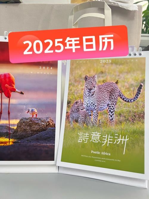 2025年正版资料免费大全7859免费旧版安卓游戏截图