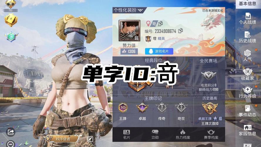 单字id和平精英生成器白色版游戏截图