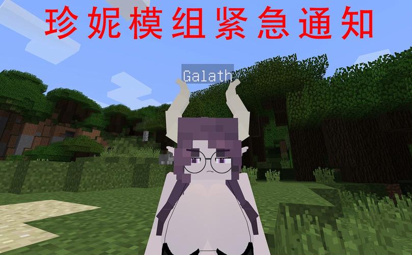 我的世界珍妮模组文件下载免费高清影视游戏截图