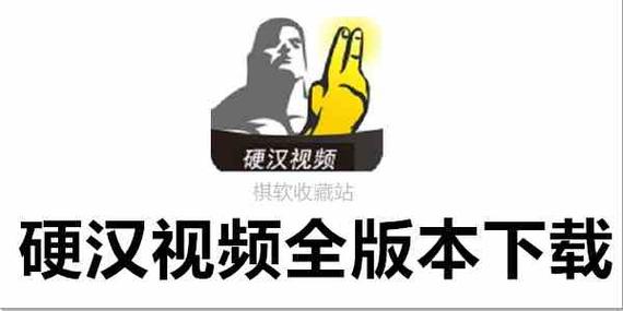 硬汉视频2022视频永久内购版游戏截图