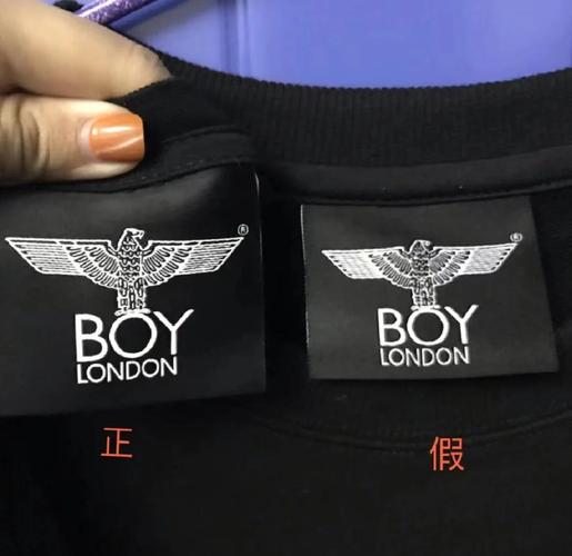 boylove安卓正版
