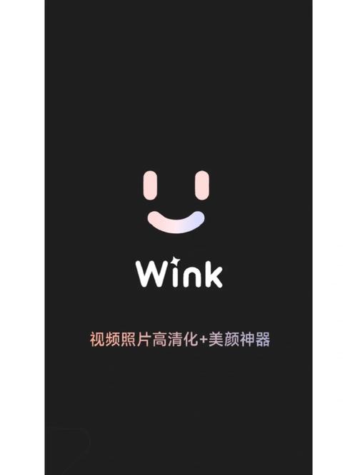 wink破解版版本
