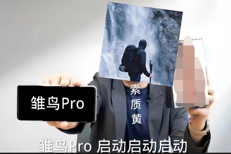 雏鸟pro破解版安装包雏鸟Pro破解版安装包是清爽版