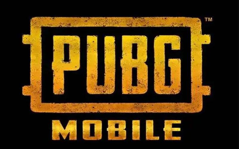 pubg轻量版外挂直装无广告污版游戏截图