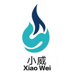 小威国体esp破解