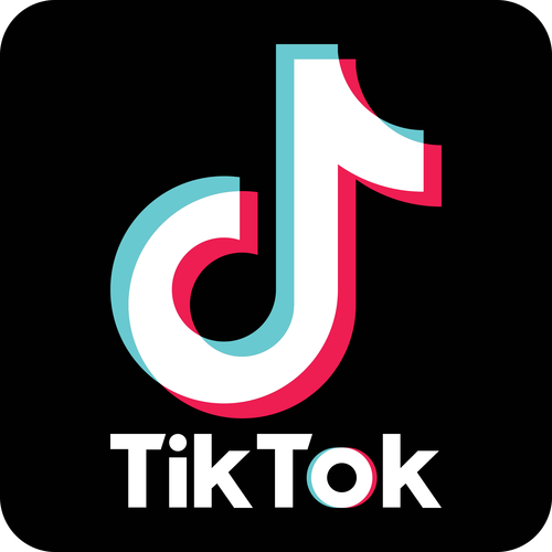 tiktok色板版本破解版永久VIP免费阅读游戏截图