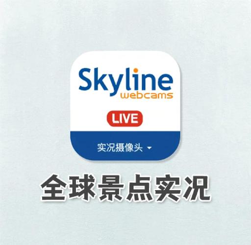 高清实况摄像头在线观看永久vip版
