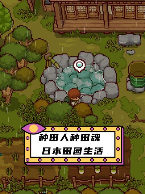 田舍的生活游戏